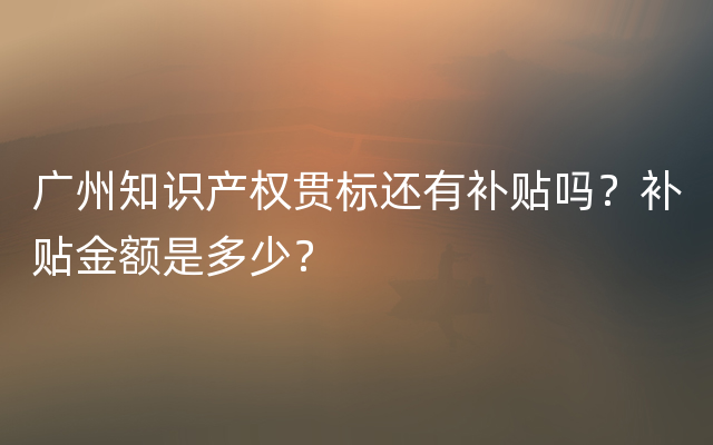 广州知识产权贯标还有补贴吗？补贴金额是多少？