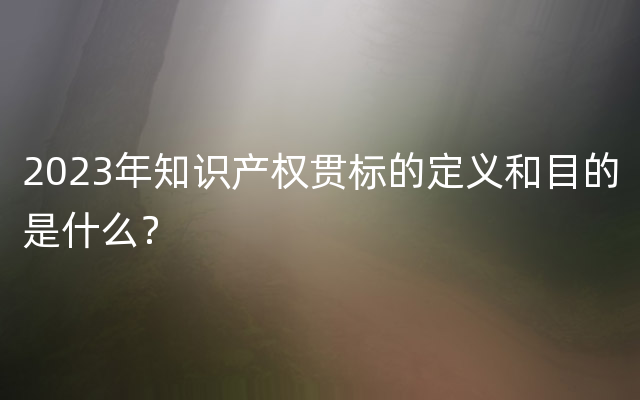 2023年知识产权贯标的定义和目的是什么？