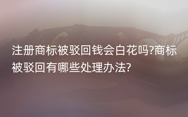 注册商标被驳回钱会白花吗?商标被驳回有哪些处理办法?