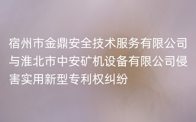 宿州市金鼎安全技术服务有限公司与淮北市中安矿机设备有限公司侵害实用新型专利权纠纷