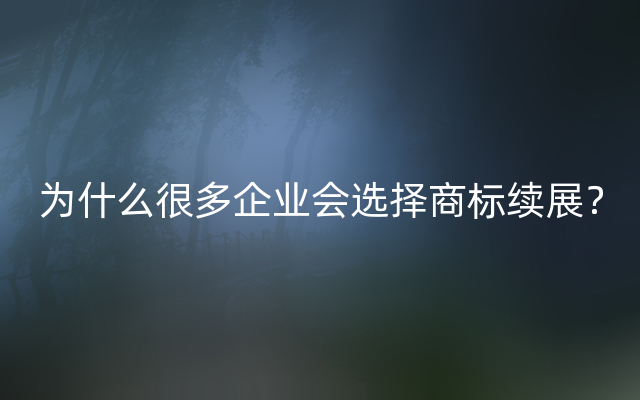 为什么很多企业会选择商标续展？