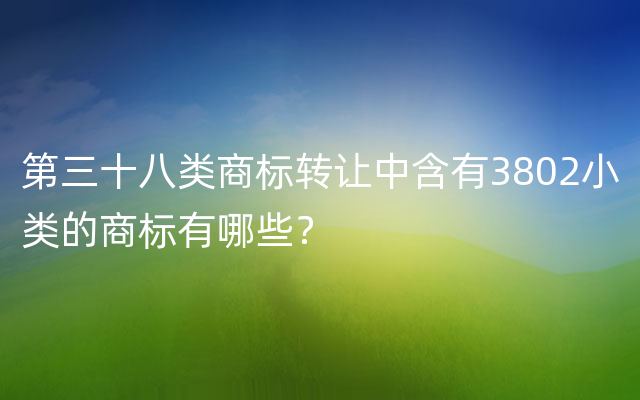 第三十八类商标转让中含有3802小类的商标有哪些？