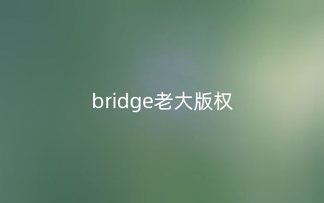 bridge老大版权