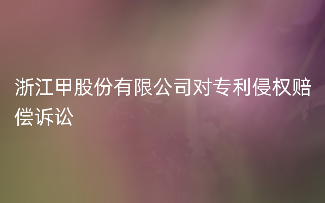 浙江甲股份有限公司对专利侵权赔偿诉讼