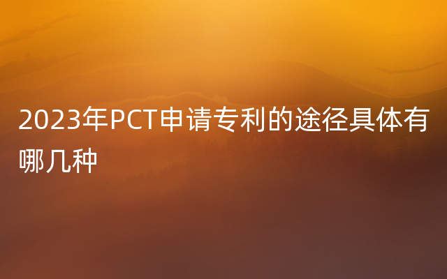 2023年PCT申请专利的途径具体有哪几种