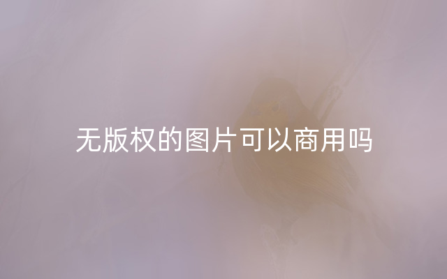 无版权的图片可以商用吗