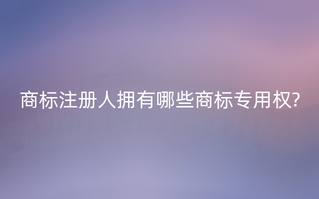 商标注册人拥有哪些商标专用权?