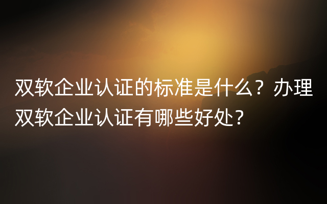 双软企业认证的标准是什么？办理双软企业认证有哪些好处？