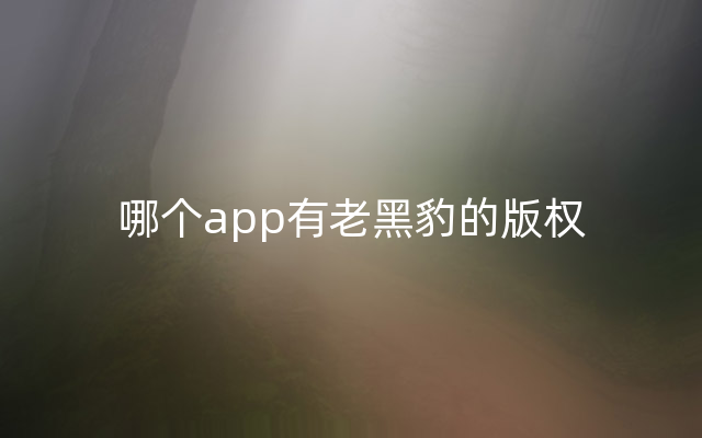 哪个app有老黑豹的版权