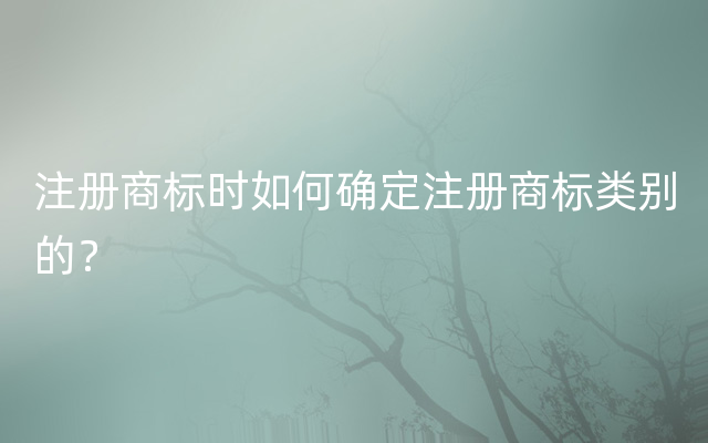 注册商标时如何确定注册商标类别的？