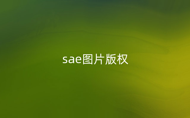 sae图片版权