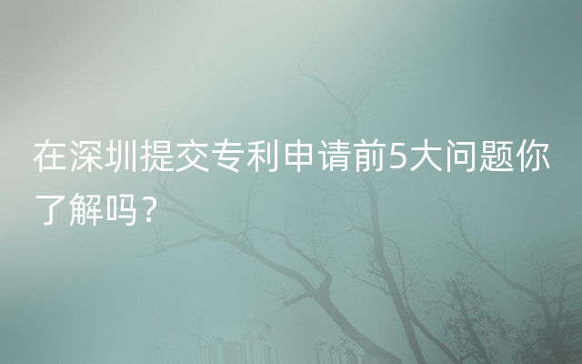 在深圳提交专利申请前5大问题你了解吗？