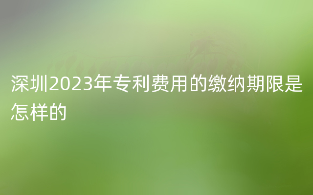 深圳2023年专利费用的缴纳期限是怎样的