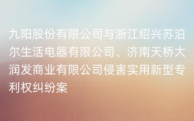 九阳股份有限公司与浙江绍兴苏泊尔生活电器有限公司、济南天桥大润发商业有限公司侵害实用新型专利权纠纷案