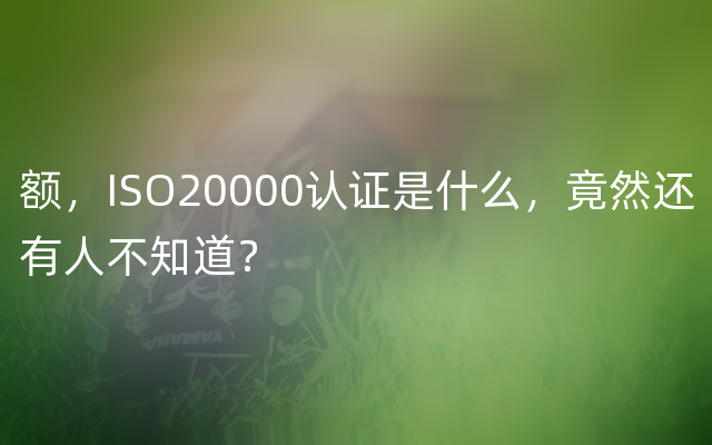 额，ISO20000认证是什么，竟然还有人不知道？