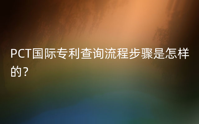 PCT国际专利查询流程步骤是怎样的？