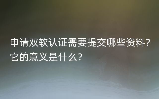 申请双软认证需要提交哪些资料？它的意义是什么？