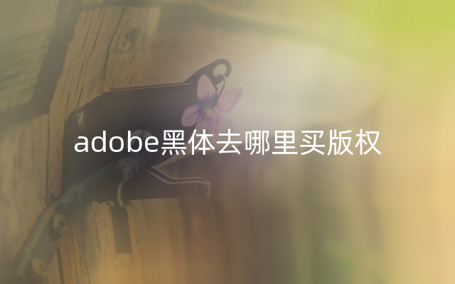 adobe黑体去哪里买版权