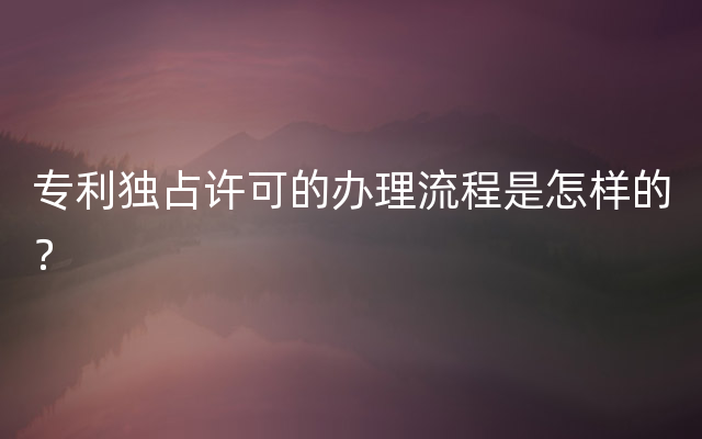 专利独占许可的办理流程是怎样的？