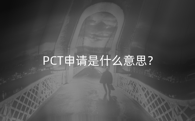 PCT申请是什么意思？