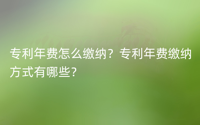 专利年费怎么缴纳？专利年费缴纳方式有哪些？