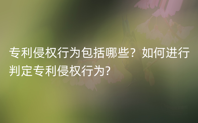 专利侵权行为包括哪些？如何进行判定专利侵权行为?