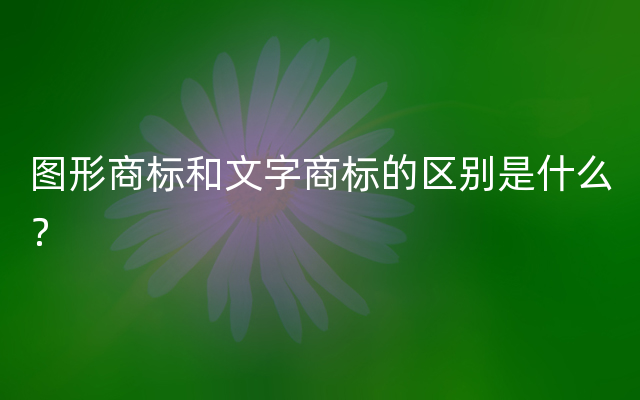 图形商标和文字商标的区别是什么？