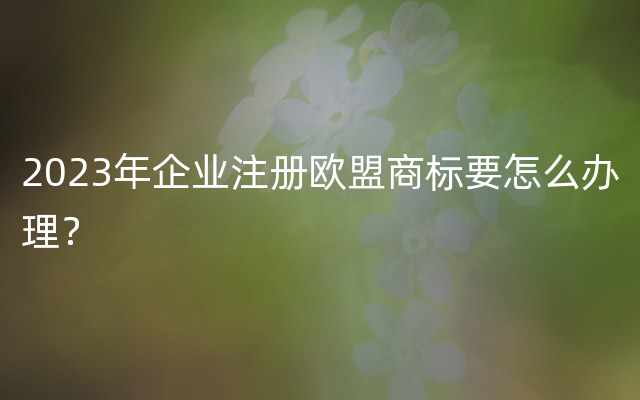 2023年企业注册欧盟商标要怎么办理？