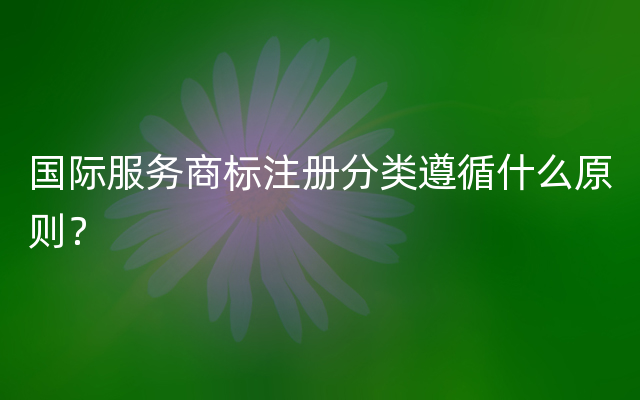 国际服务商标注册分类遵循什么原则？