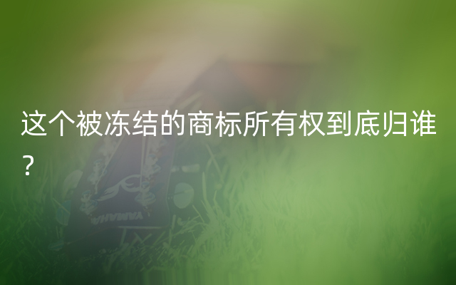 这个被冻结的商标所有权到底归谁？