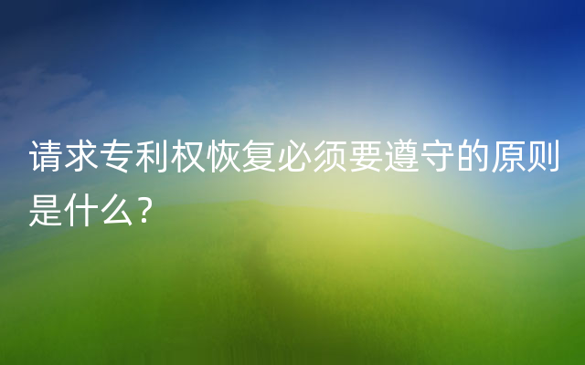 请求专利权恢复必须要遵守的原则是什么？