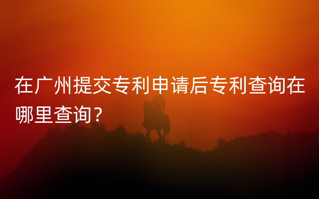 在广州提交专利申请后专利查询在哪里查询？