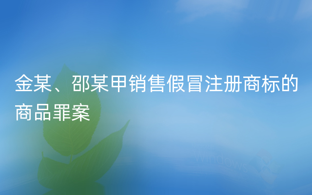 金某、邵某甲销售假冒注册商标的商品罪案