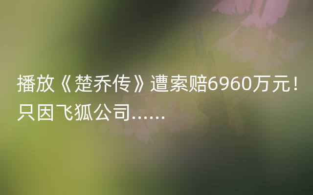 播放《楚乔传》遭索赔6960万元！只因飞狐公司……