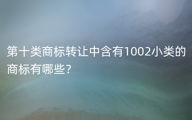 第十类商标转让中含有1002小类的商标有哪些？