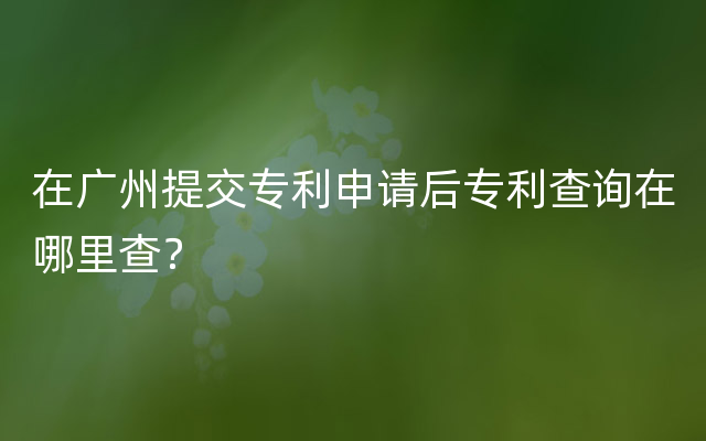在广州提交专利申请后专利查询在哪里查？