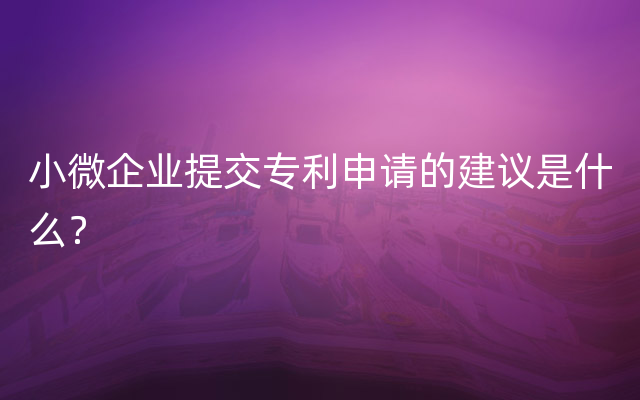 小微企业提交专利申请的建议是什么？