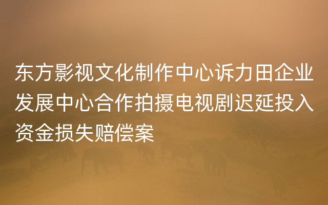 东方影视文化制作中心诉力田企业发展中心合作拍摄电视剧迟延投入资金损失赔偿案