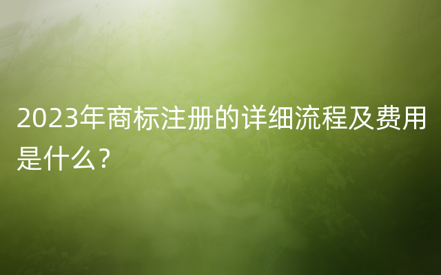 2023年商标注册的详细流程及费用是什么？