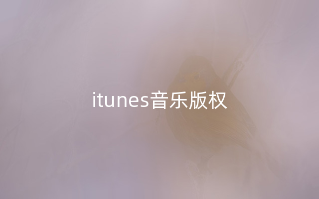 itunes音乐版权