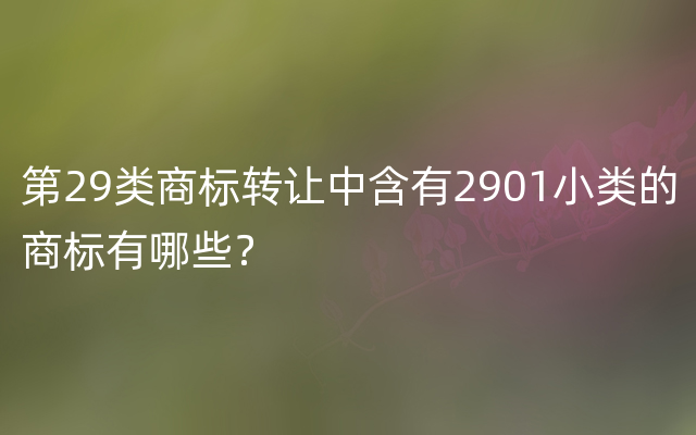 第29类商标转让中含有2901小类的商标有哪些？