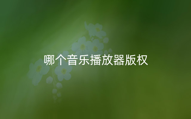 哪个音乐播放器版权