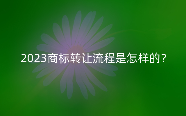 2023商标转让流程是怎样的？