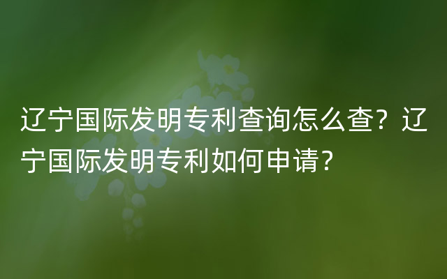 辽宁国际发明专利查询怎么查？辽宁国际发明专利如何申请？