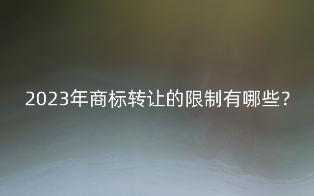 2023年商标转让的限制有哪些？