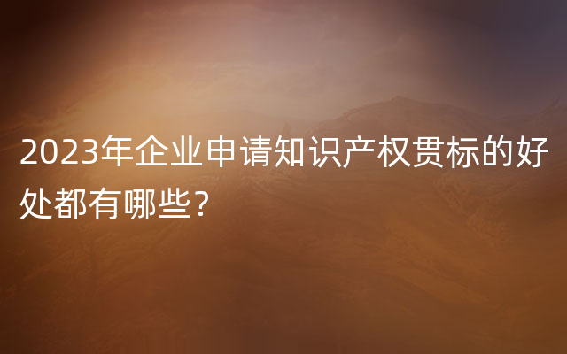 2023年企业申请知识产权贯标的好处都有哪些？