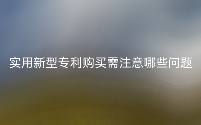 实用新型专利购买需注意哪些问题