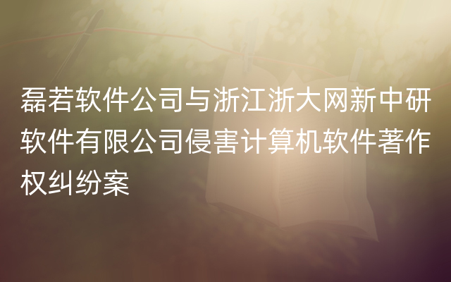 磊若软件公司与浙江浙大网新中研软件有限公司侵害计算机软件著作权纠纷案