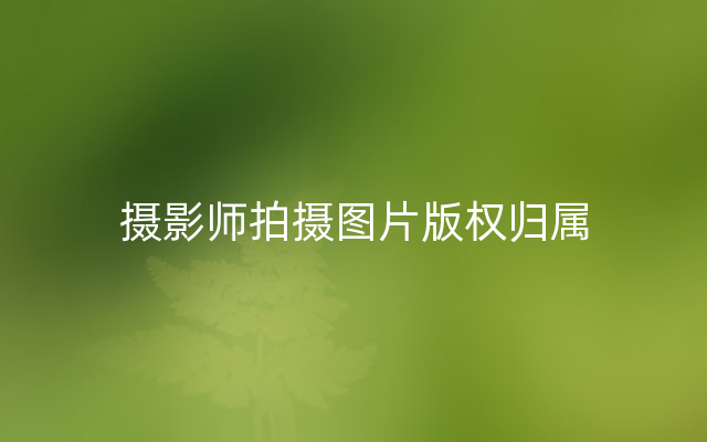 摄影师拍摄图片版权归属