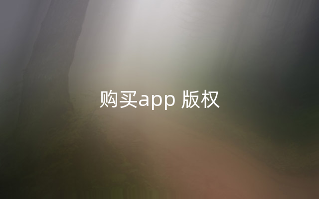 购买app 版权